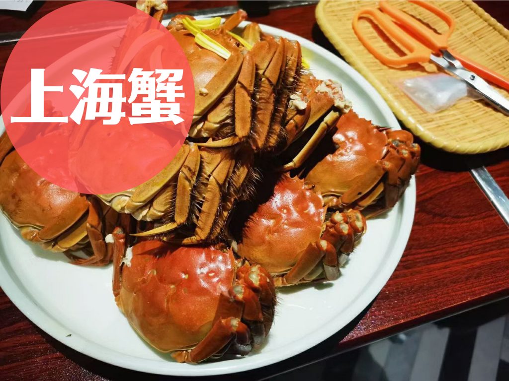 上海蟹｜上海のおすすめグルメ